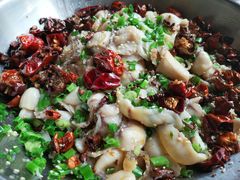 -百岁鱼(七一路店)