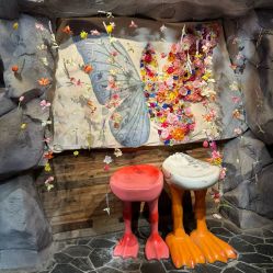 -Zoolung Zoolung动物主题公园(海信广场店)