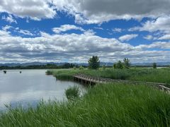 -野鸭湖国家湿地公园
