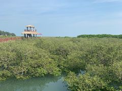 -北海金海湾红树林生态旅游区