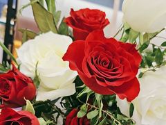 -BOBLOOM花店(宝龙旭辉广场店)