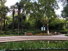 -常州古运河南大街文化旅游区-人民公园