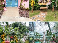 -正佳雨林生态植物园