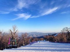 -哈尔滨热雪奇迹