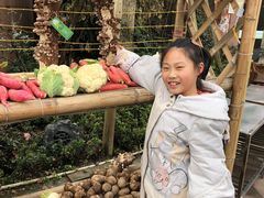 -楠柏弯休闲山庄(梨花溪店)