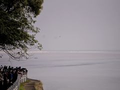 -观潮胜地公园