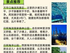 -日照海滨国家森林公园