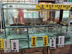 -寻味顺德·南记酒家·传统顺德菜·鱼生(广源路店)