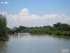 -大湾区中央湿地公园