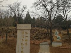 -北京西山国家森林公园