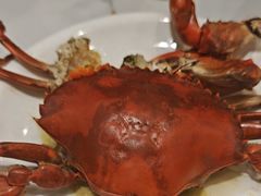 -欢乐海岸美食联盟