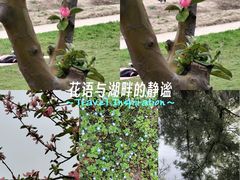 -洨河生态公园