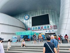 -烟台海昌鲸鲨海洋公园