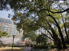 -徐家汇源景区-衡山公园