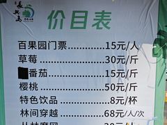-上海长兴岛郊野公园