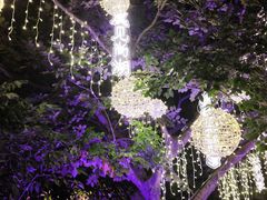 -尚湖风景区