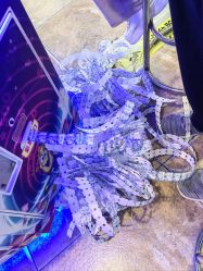 -卡通尼·Safari非洲探索乐园·生日会(金桥国际商业广场店)