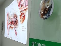 -自然之声助听器·呼吸机(康桥旗舰店)