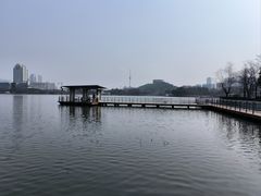 -月湖风景区