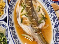 清蒸白水鱼-洞天食府(北大街店)