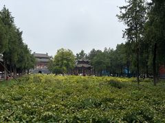 -洛阳白马寺