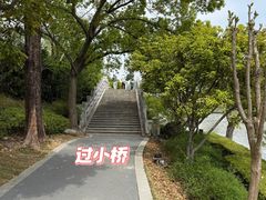 -嘉定紫藤园