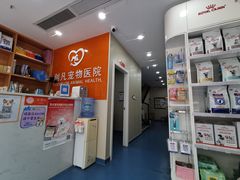 -创凡宠物医院·骨专科  猫科中心(西乡分院)