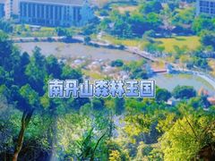-南丹山森林王国