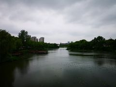 -新江湾城公园