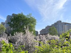 -元大都城垣遗址公园