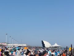 -碧海金沙