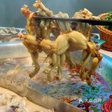 牛蛙畅吃，究竟是一种什么体验❓❗️
