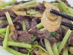-昌茂客家情