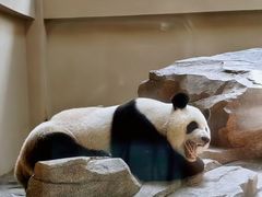 -宁波野生动物园
