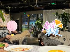 -百好乐宠物友好餐厅(朝外大街店)