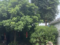 -宏八酒楼(西樵山景区店)