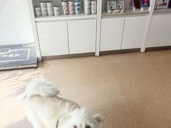 -宠颐生中康贝怡动物医院