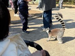 -杭州野生动物世界