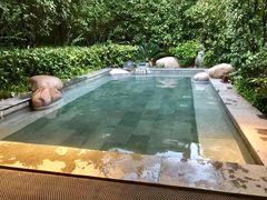 -天目湖御水温泉·度假酒店