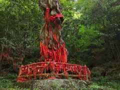 -燕子河大峡谷天坑仙境