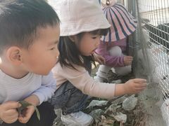 -新塘水果乐园(东洲大道店)