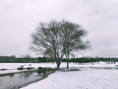 -钟山体育运动公园