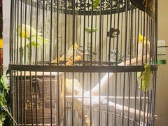 -清真京华源·涮肉烧烤(丰庆店)
