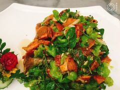 -蔼若春.传承三十年云南菜(金碧公园店)