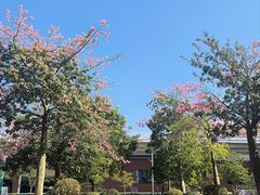 -广东金融学院(校本部)