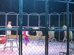 -山西乌金山旅游区