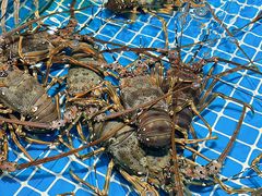 -三亚火车头万人海鲜广场