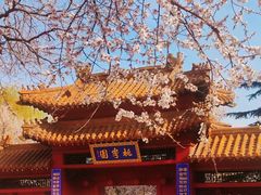 -桃花堤公园