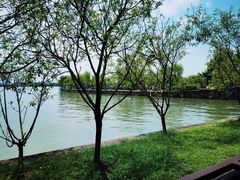 -无锡蠡湖国家湿地公园-蠡园