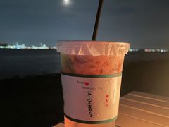 -海鸥岛
